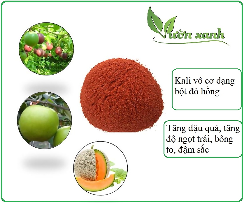 (0.5kg) Phân bón siêu Kali đỏ_Phân vô cơ Kaly đỏ dạng bột đậu quả, tăng độ ngọt, tăng năng suất cây trồng